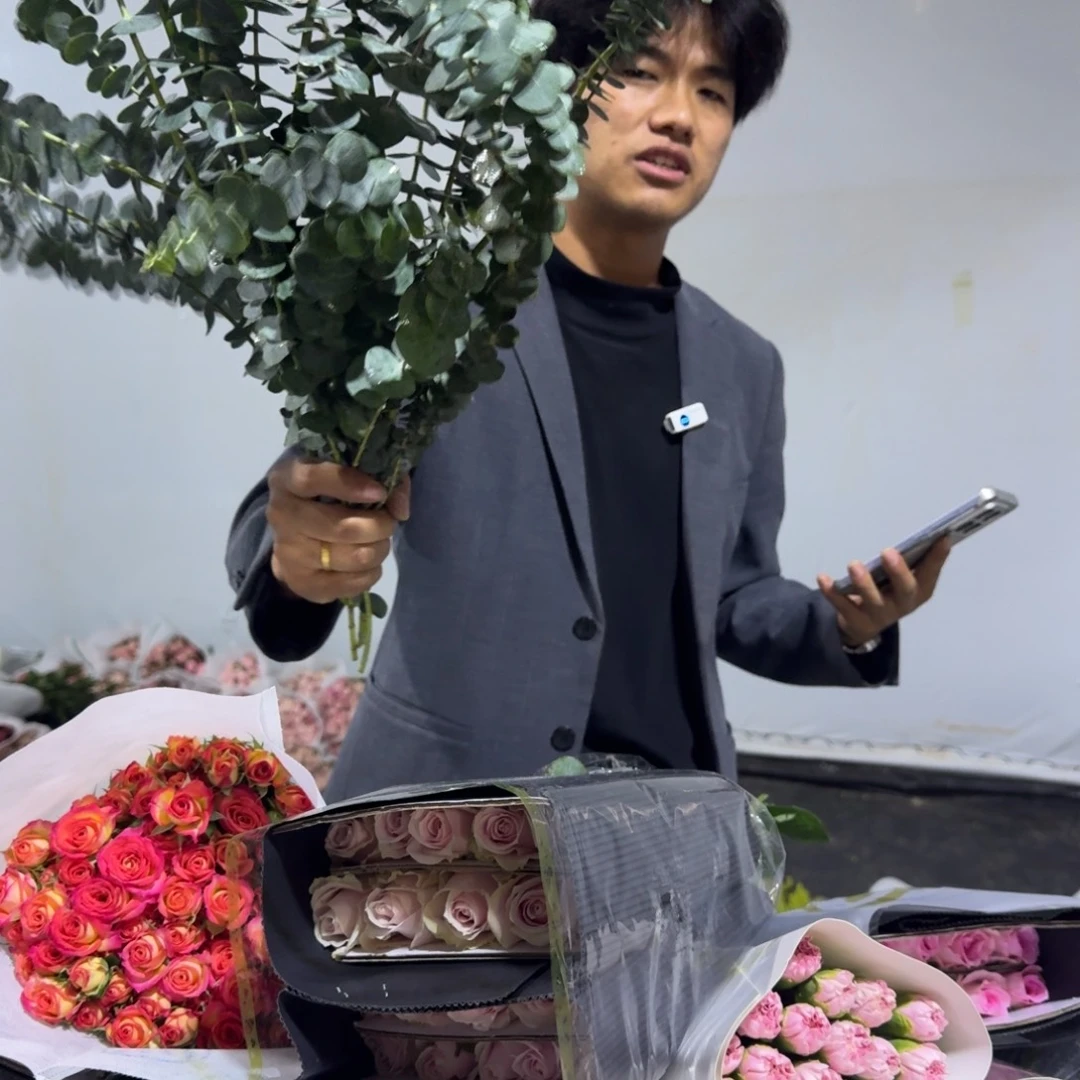 尤加利2扎包邮价秒杀