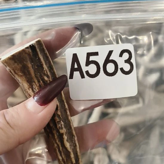 画***人鹿角鹿角鹿角鹿角鹿