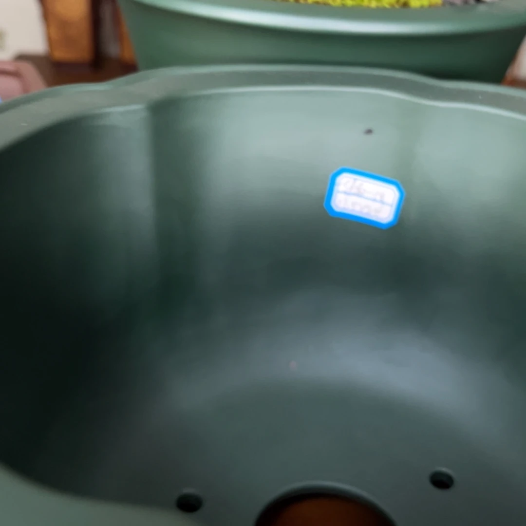 紫砂张*翔高温正宗手工花盆