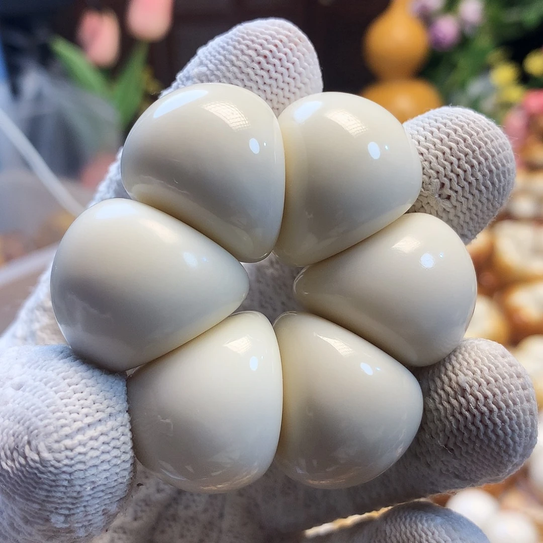 吊坠菩提根/象牙果白花瓣