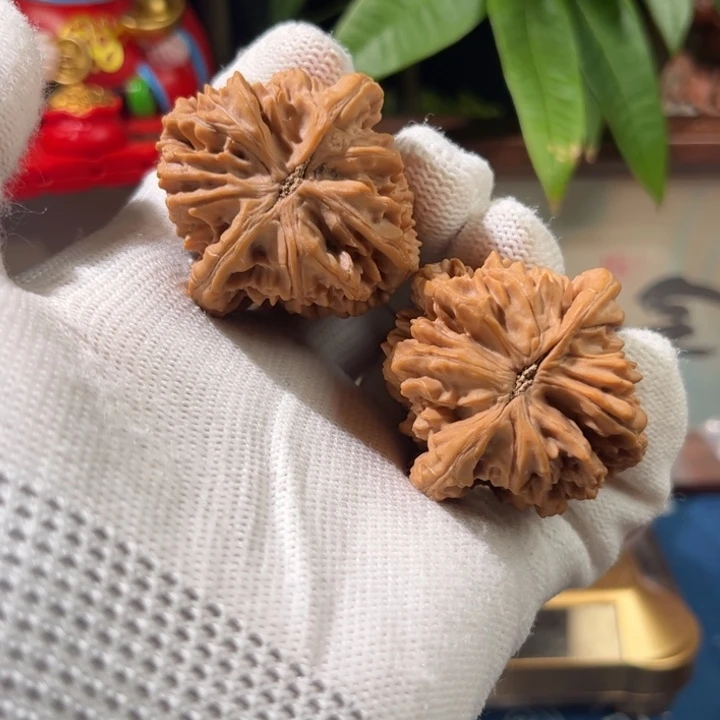 文玩核桃吊坠C*龙脊