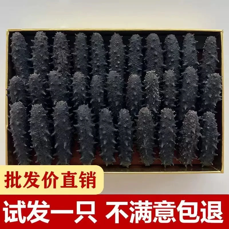 九年秋参 大连深海底播辽刺参 海参干货500g一斤装