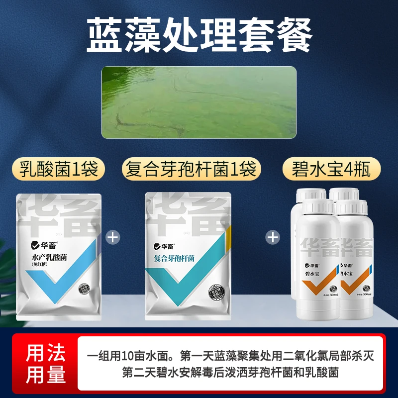 Z蓝藻处理套餐 鱼虾蟹水产养殖