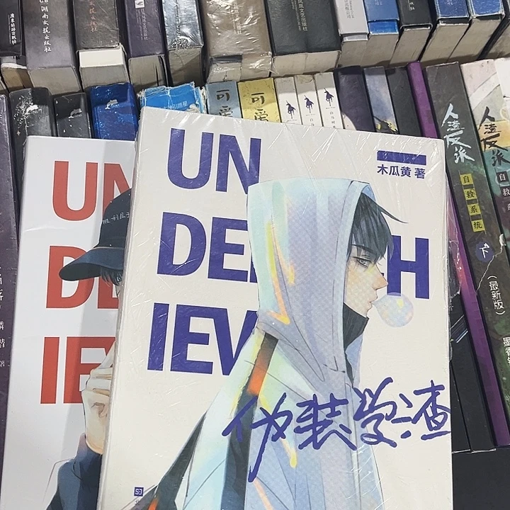 伪装学渣全新全套两本带周边未删减