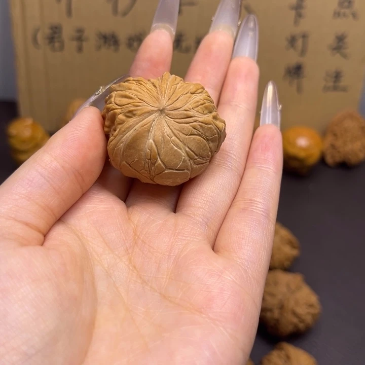 发***哥菩提籽类蛇单只异型有瑕