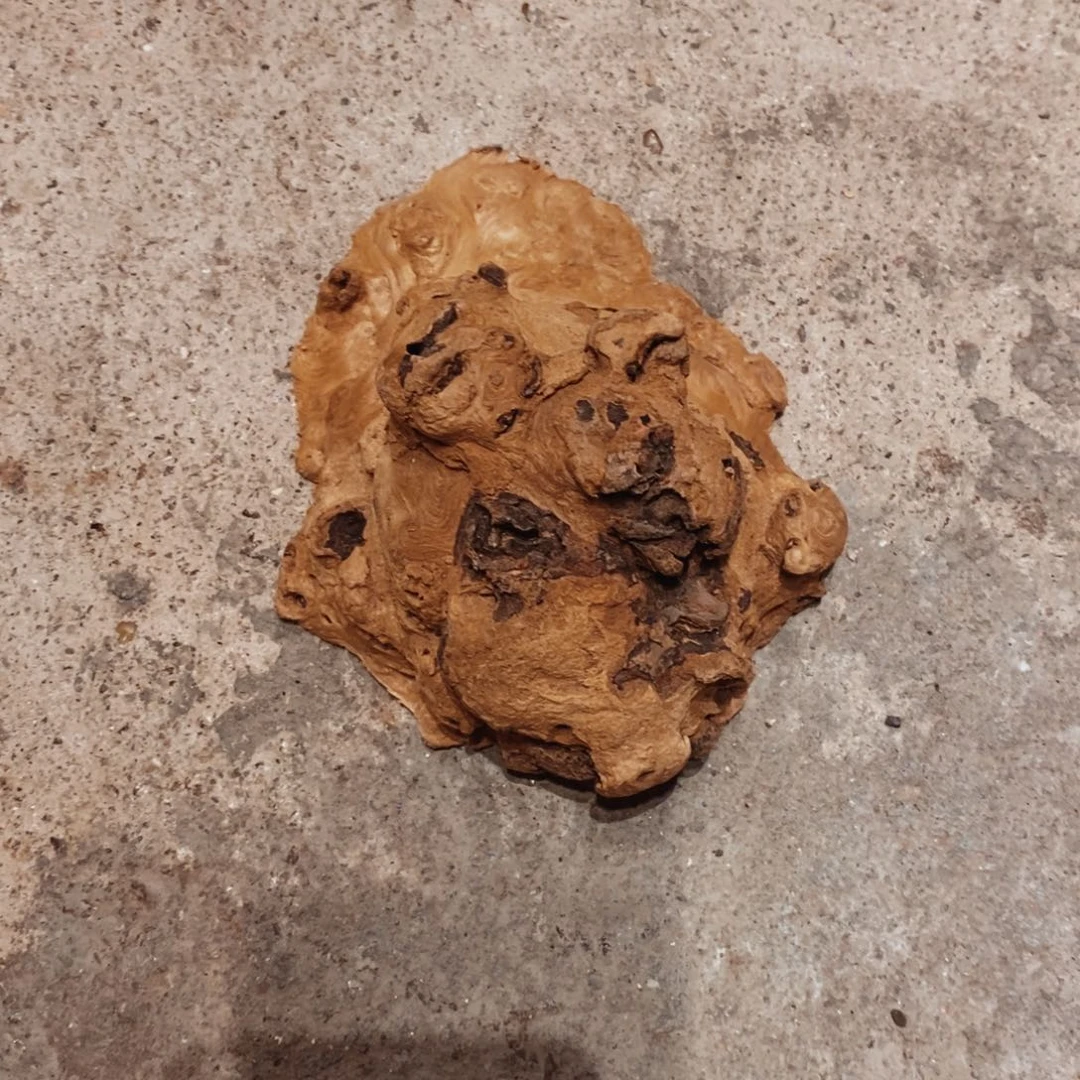 夜***灵荔枝木随形加工一个