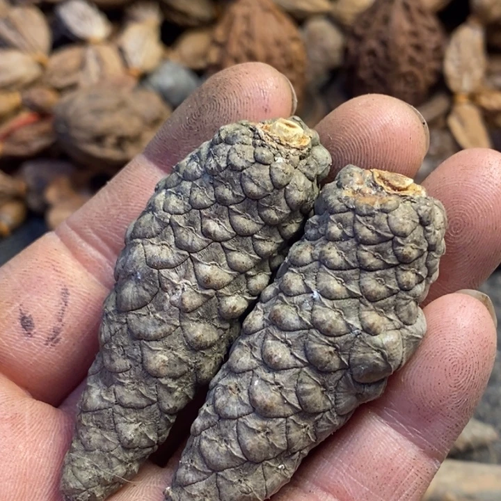 文玩核桃吊坠东北特产337