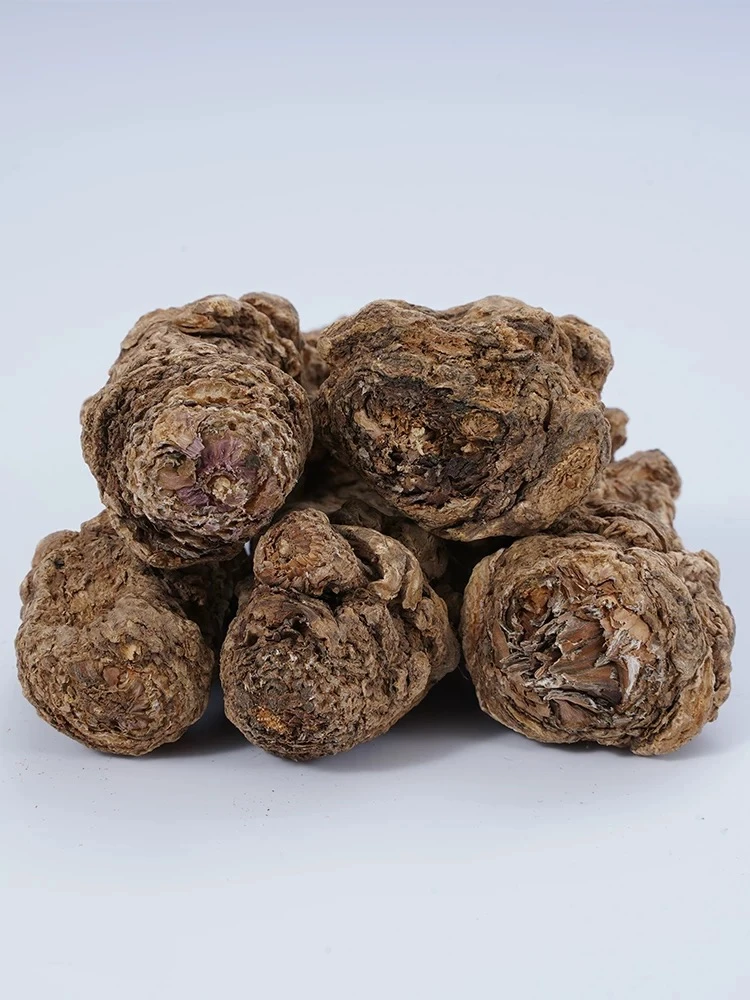 ［谦禾臻选］ 四川高原野外自然生长当归 石头当归 煲汤3 年左右