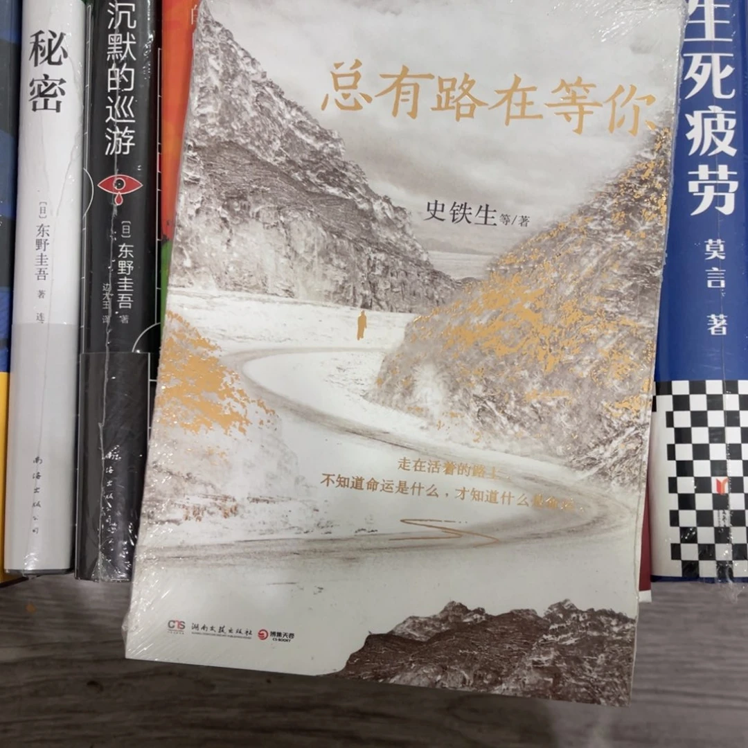 总有路在等你平装^_^