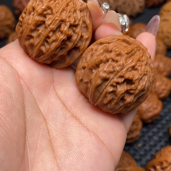 秦岭野生00000009