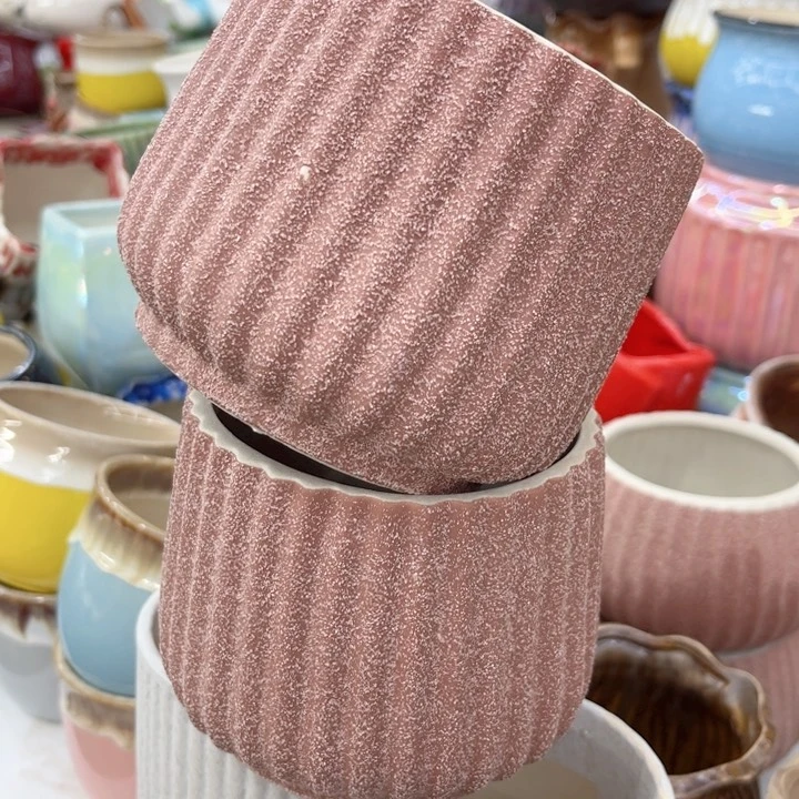 多肉植物陶瓷花盆