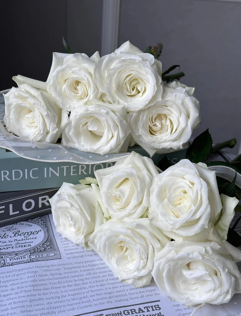 白色玫瑰10支+加洛特非洲菊5支+粉色多头康乃馨20支