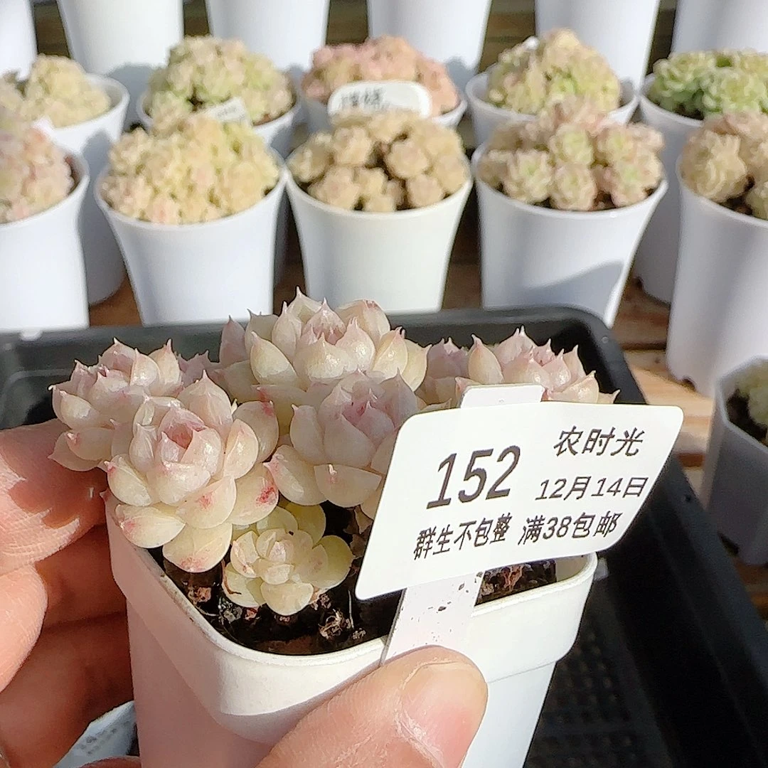 夏***甜1214-152（ppt-41）优选