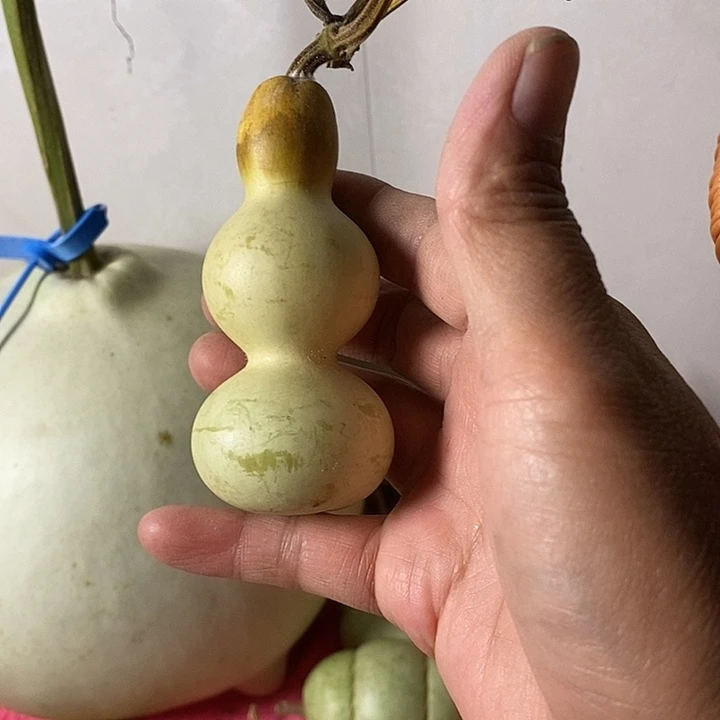 三***万青皮葫芦手把件葫芦