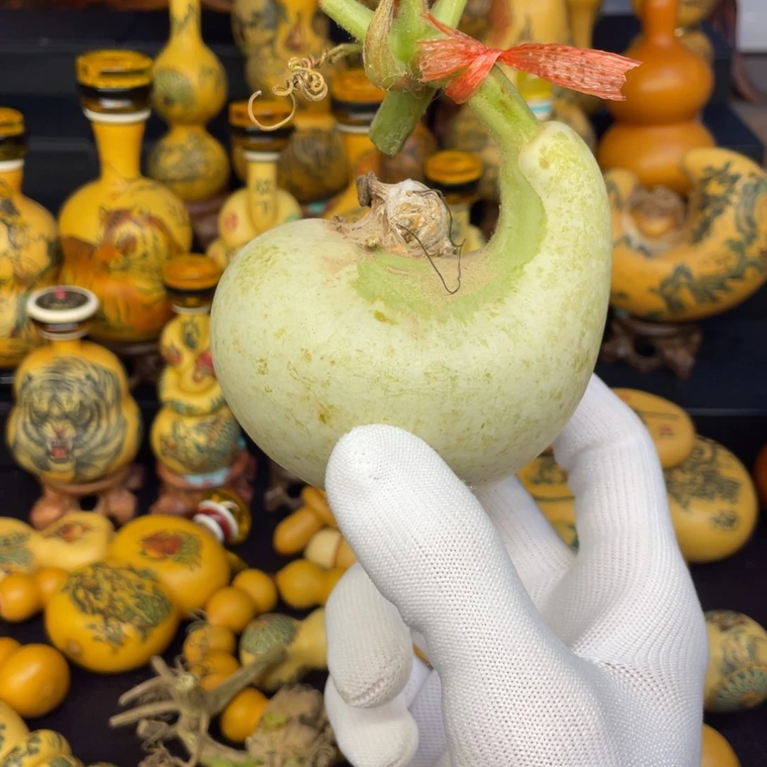 风**?葫芦111222211