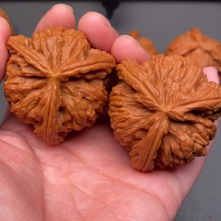 张***须木质类核桃核桃核桃