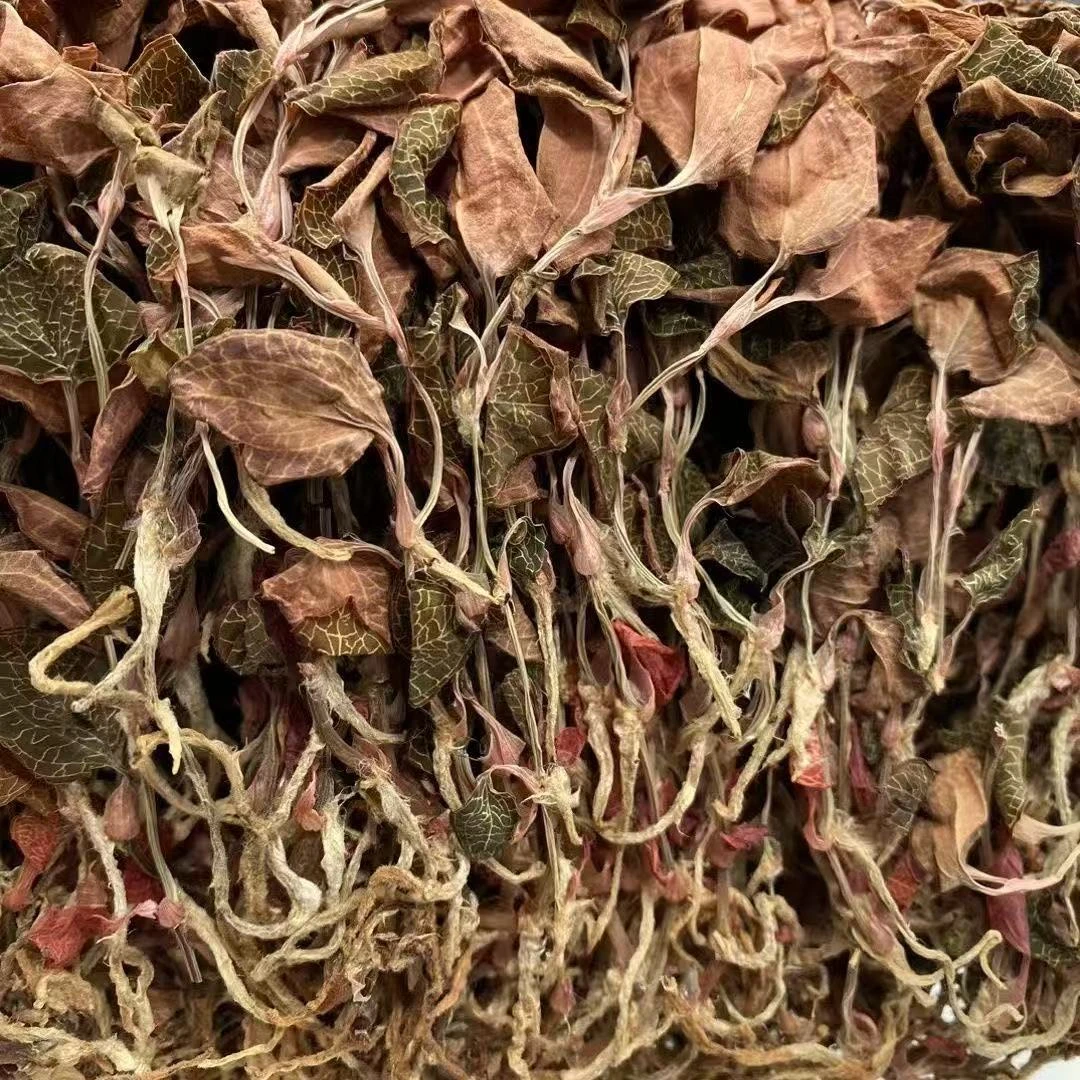 【直播专属】整株金线连