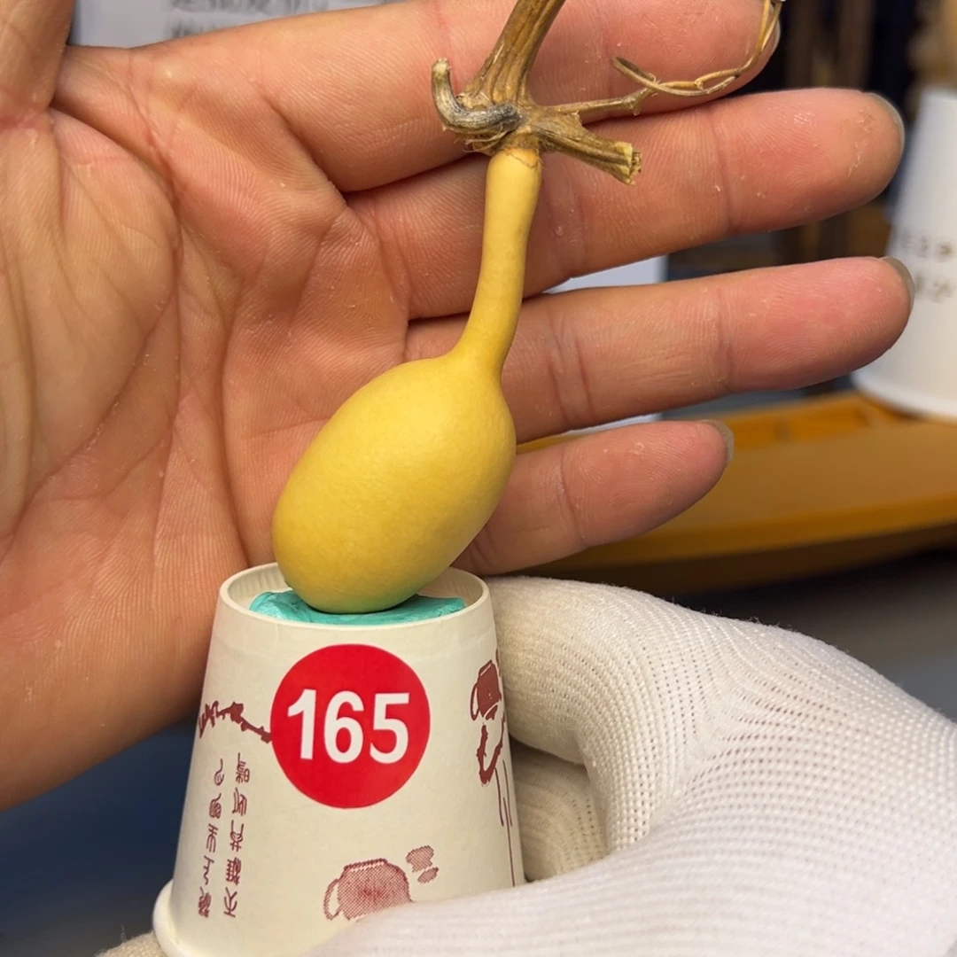 闪电购自助下单编号165