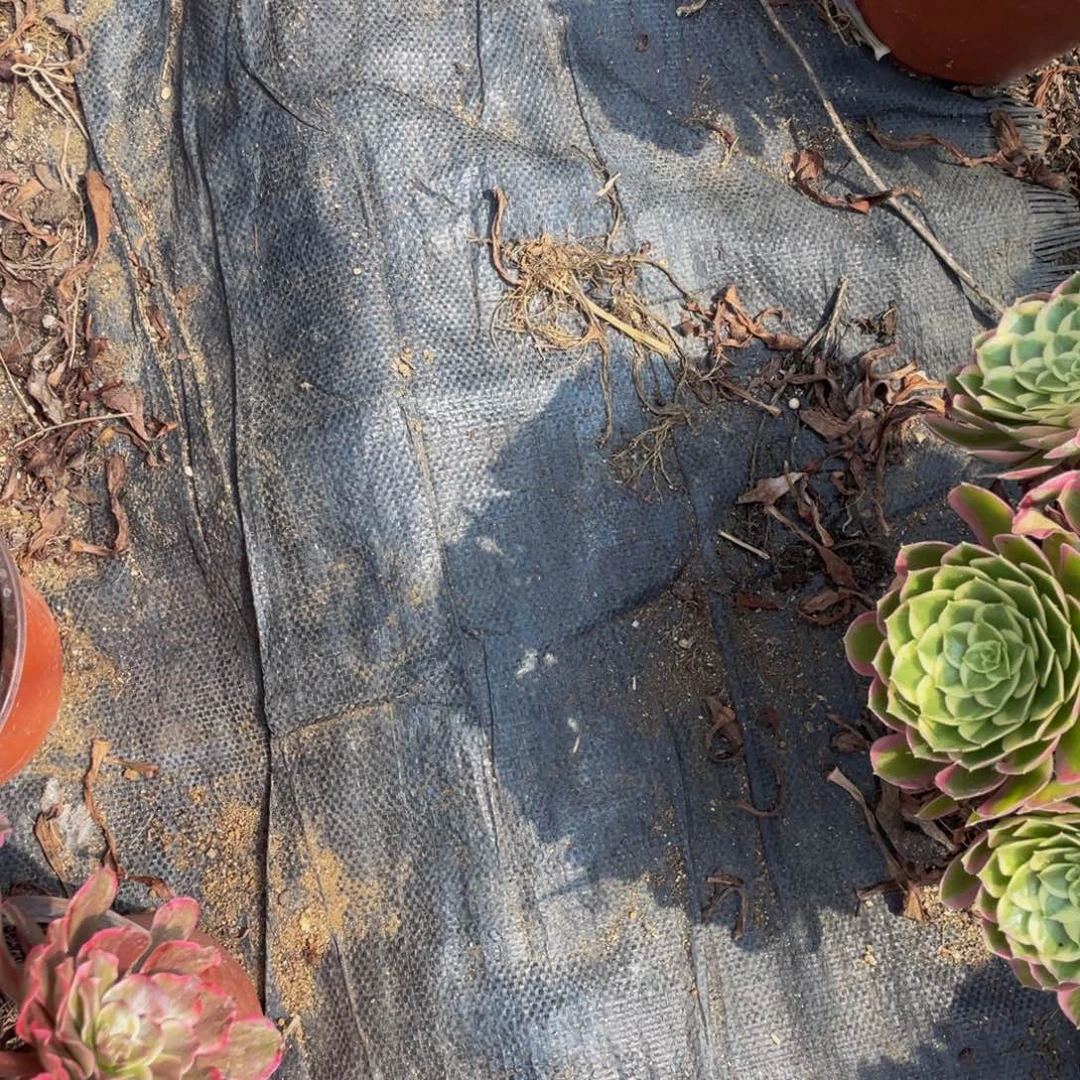 寄养必拍有机肥料