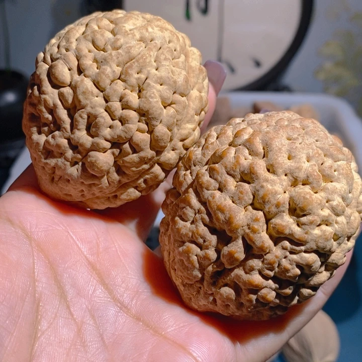 野生三瓣脑纹大金刚5060