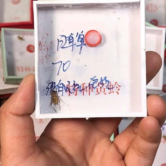 為***祢3333333333333333