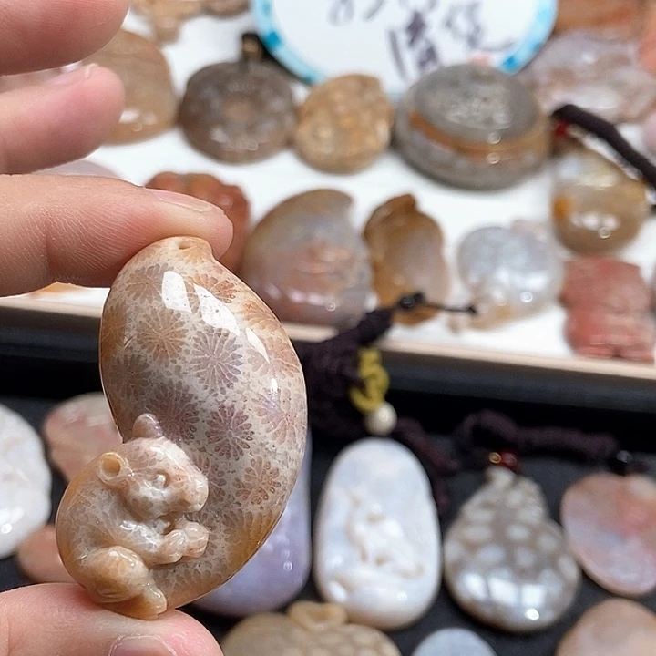 硅化珊瑚（珊瑚玉）未镶嵌颈饰