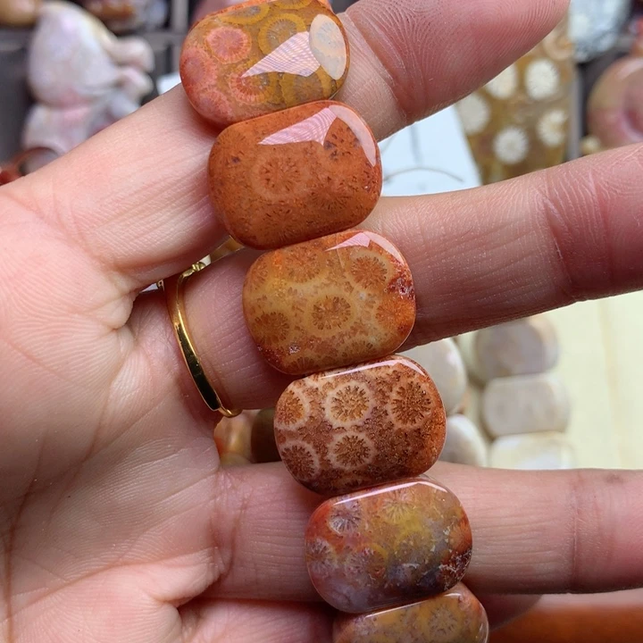 硅化珊瑚（珊瑚玉）颈饰未镶嵌