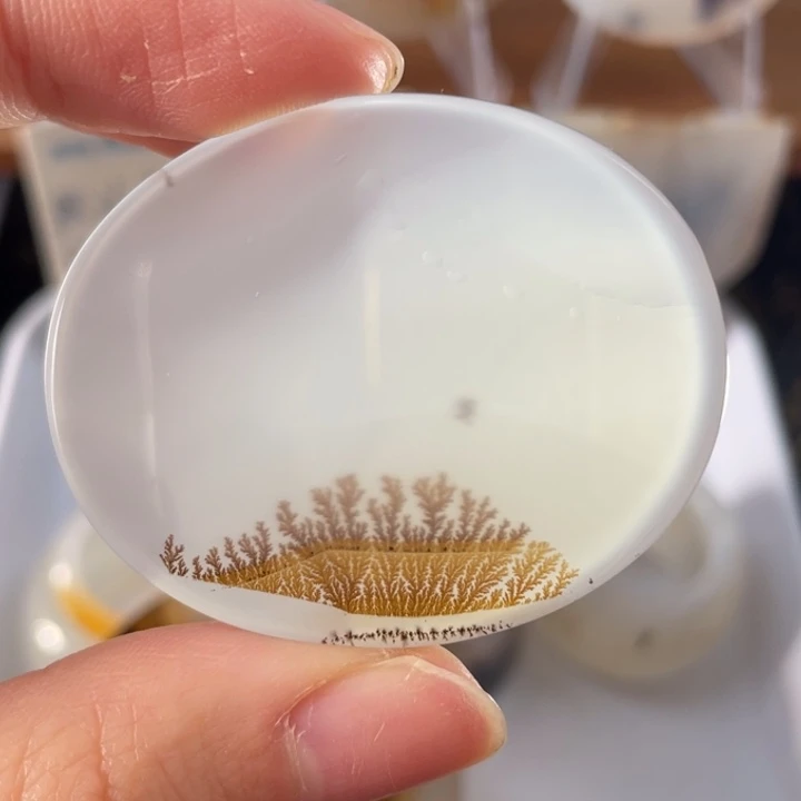 玛瑙/玉髓未镶嵌牌子