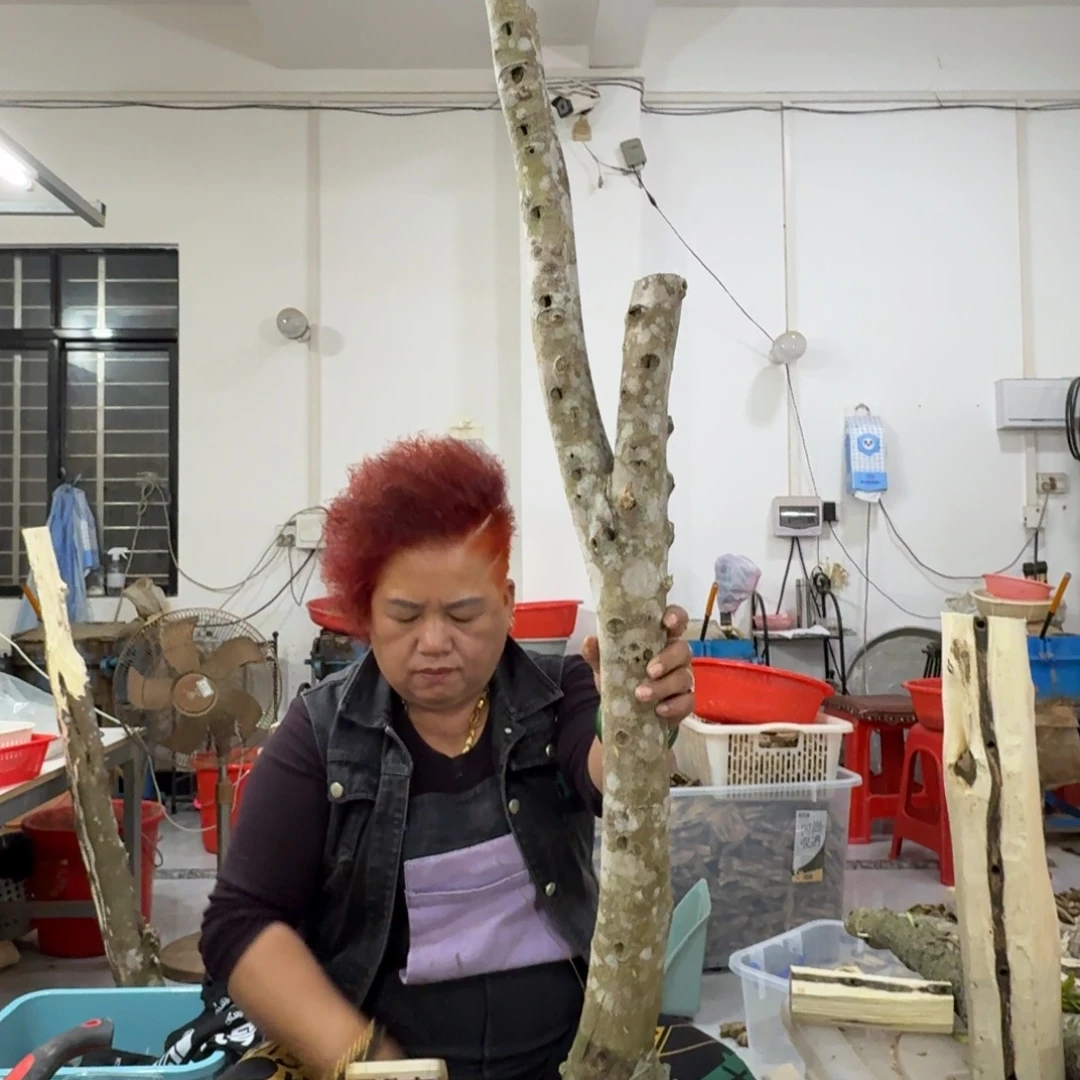 J***》线香奇楠沉香原木