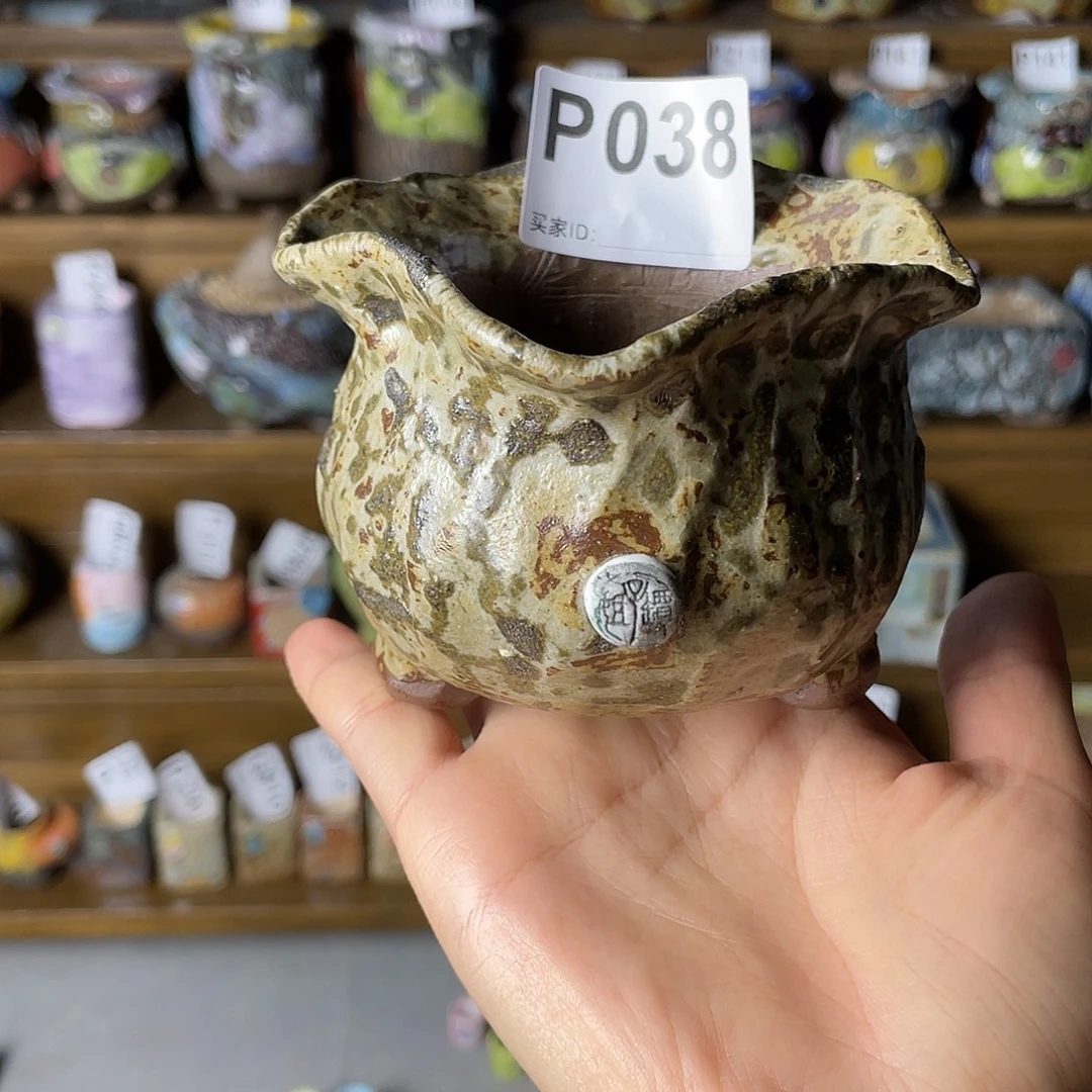 限量福利特价引流款  外口10