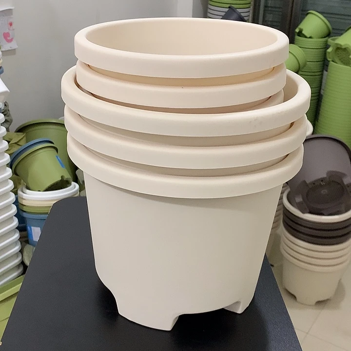 球根口32米白3个➕26口米白3个