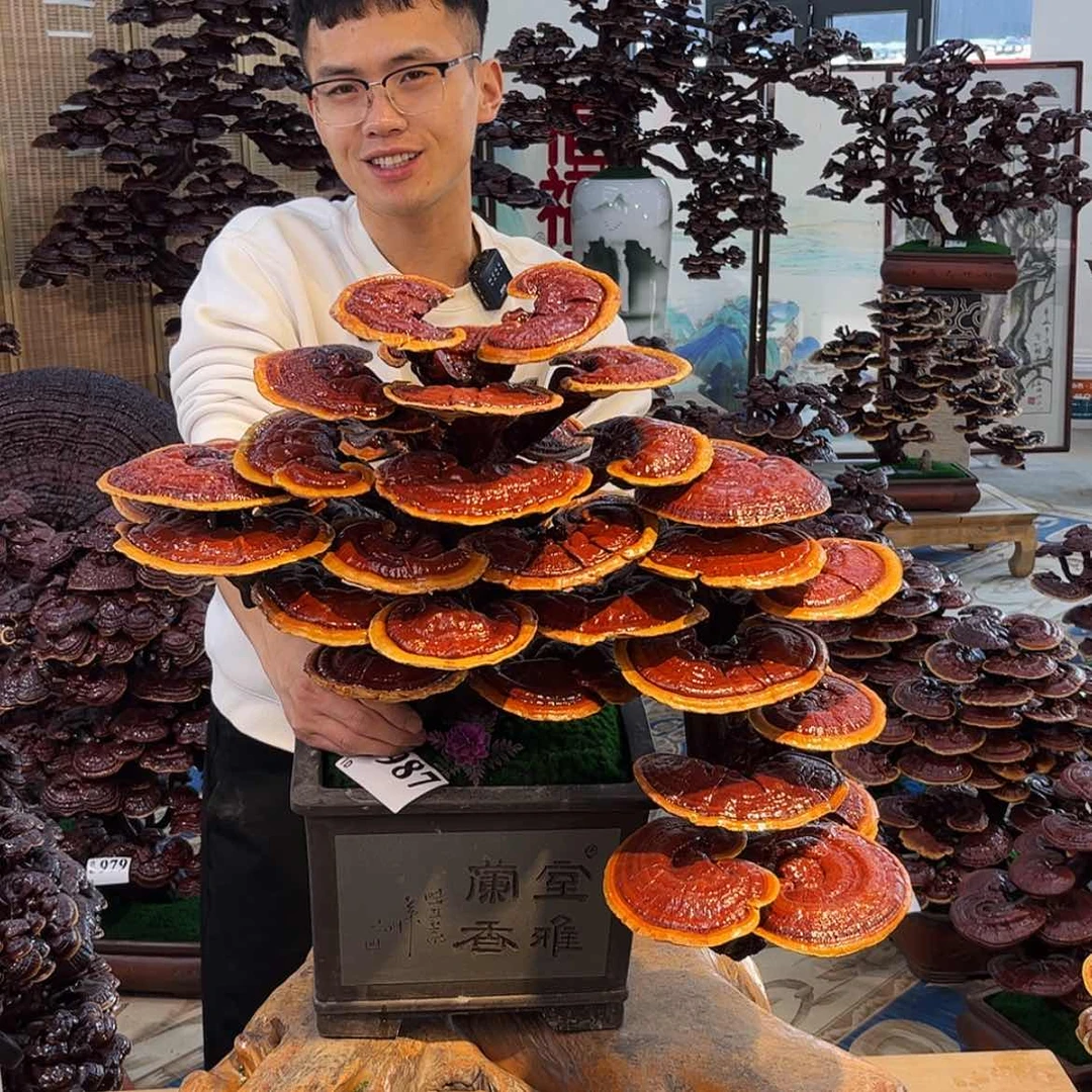 【闪购商品】88888