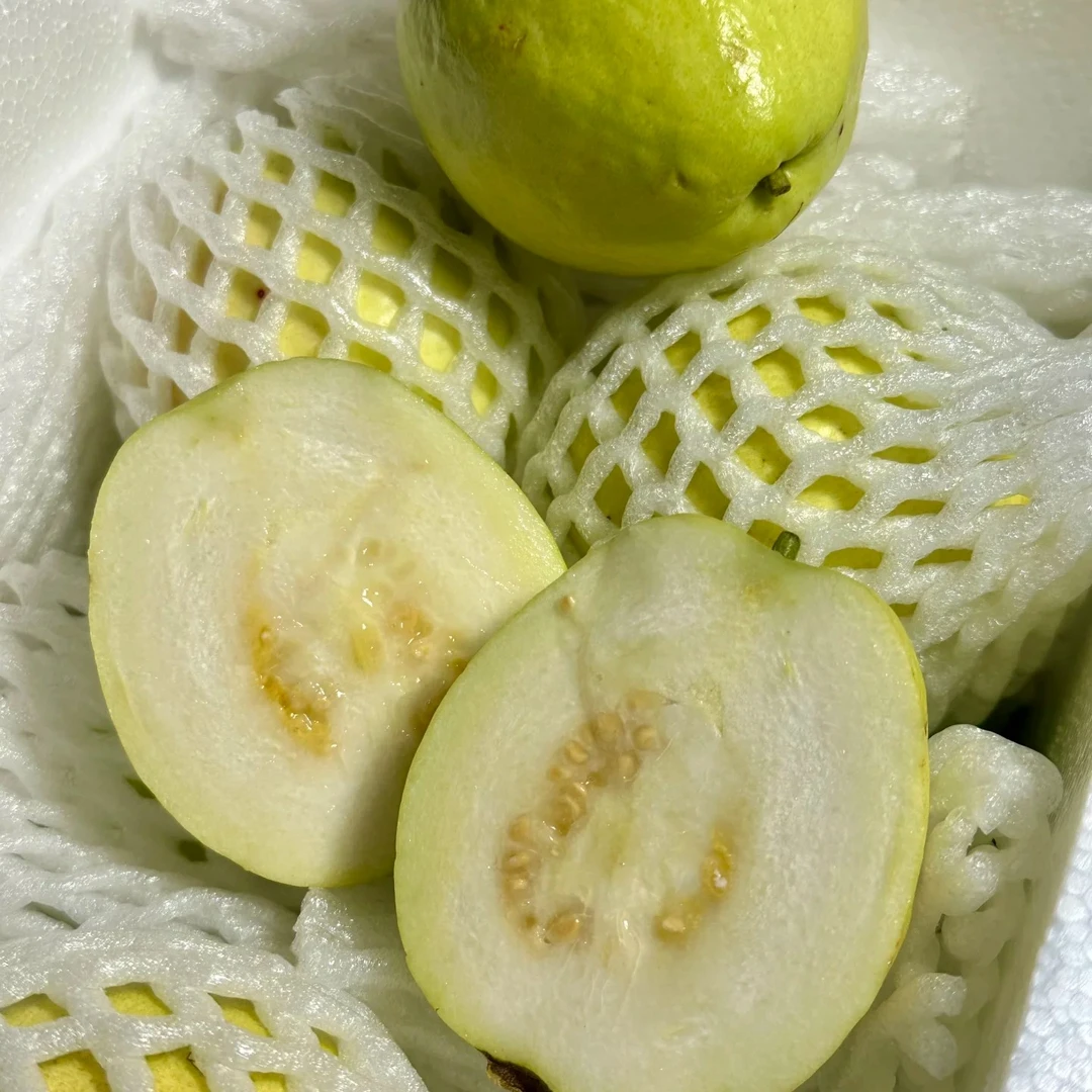 奶油芭乐（箱）约3斤