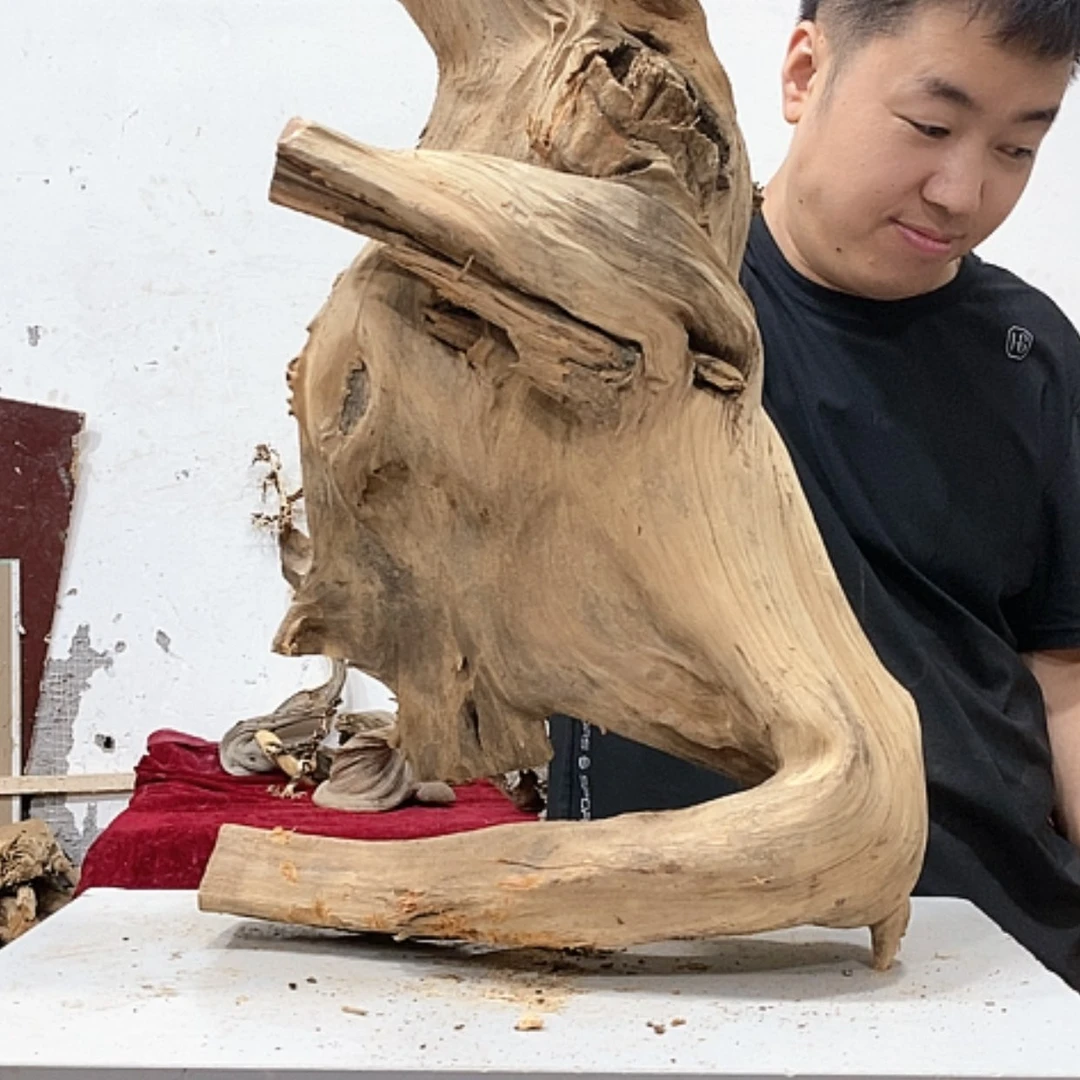 【闪购商品】柏木f***g我们都是好孩子
