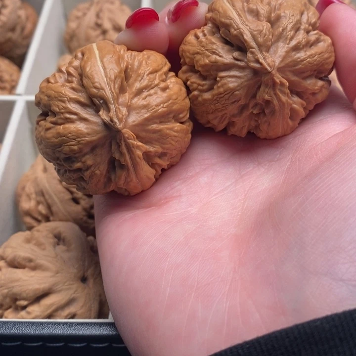 ****万文玩核桃把件霸王龙