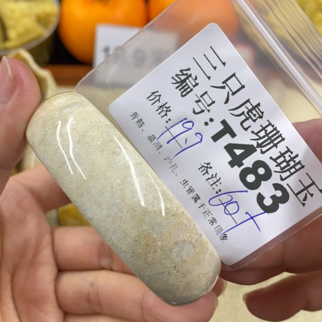 硅化珊瑚（珊瑚玉）1未镶嵌黑*