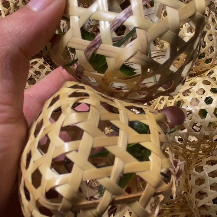 狼牙山绿色蝈蝈2只