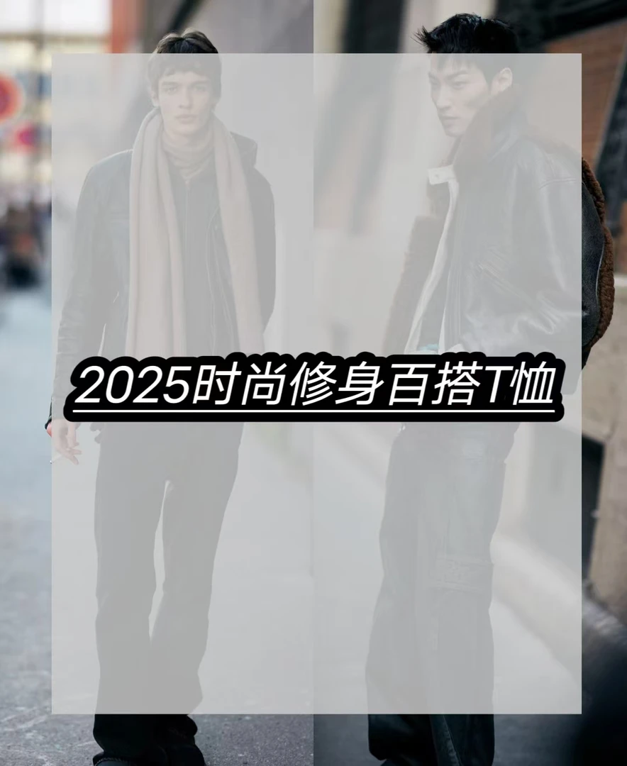 8805*-2025新款轻奢修身百搭时尚高级男士T恤4/19-ZJH