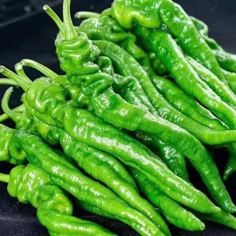 新鲜螺丝辣椒500g±50g