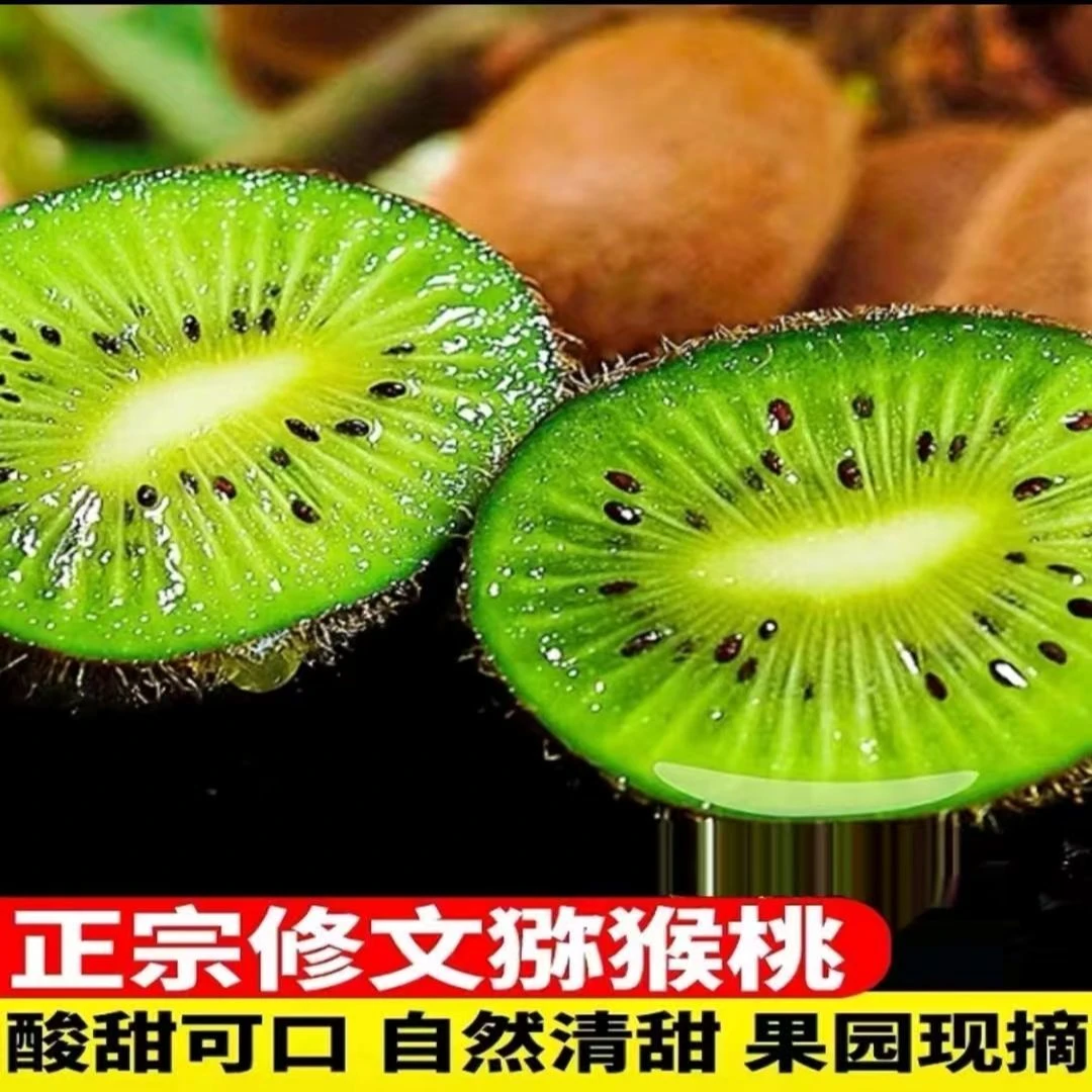【开园福利】贵州修文贵长猕猴桃新鲜现摘绿心奇异果香甜软糯多汁