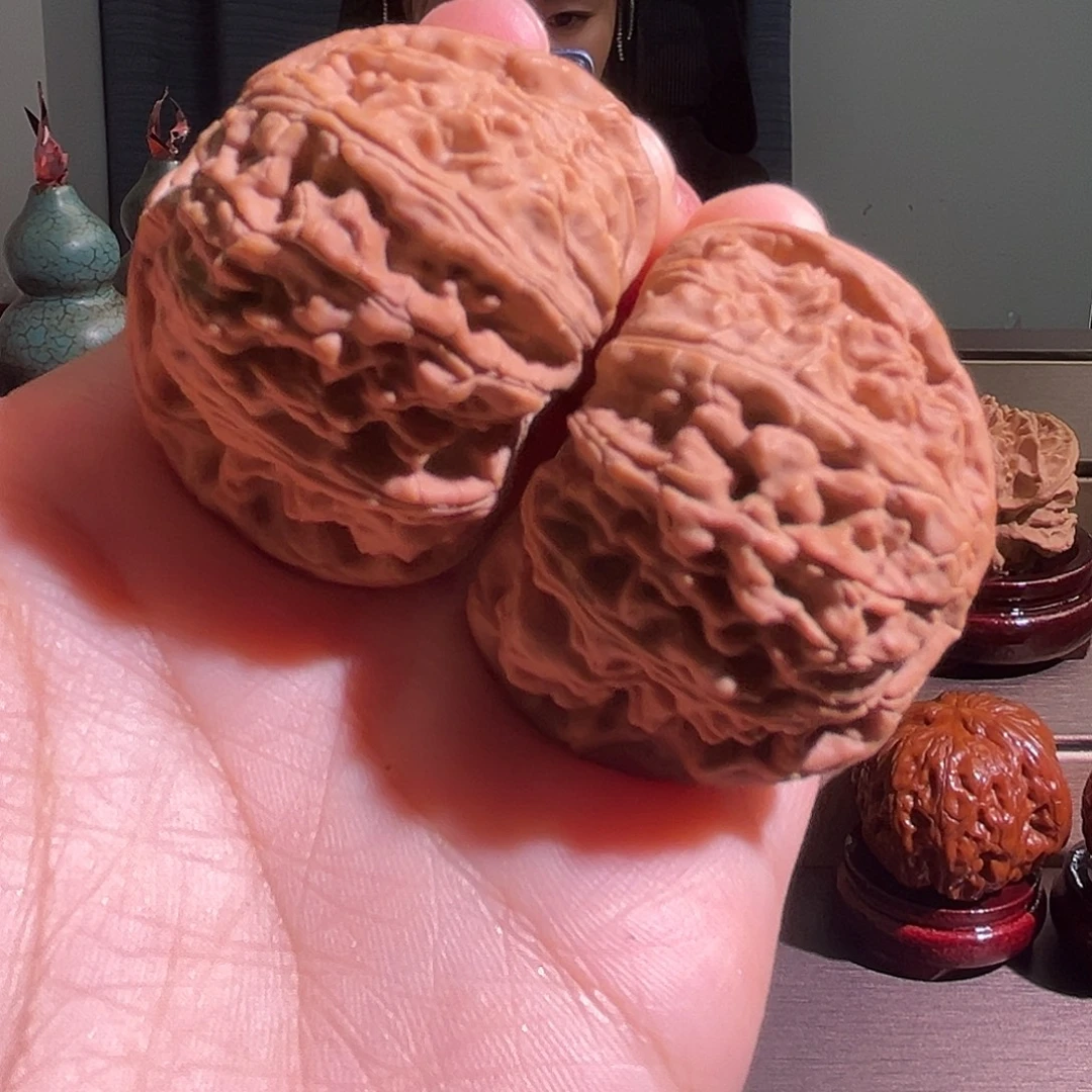 D***L核桃全品白狮子45尺寸