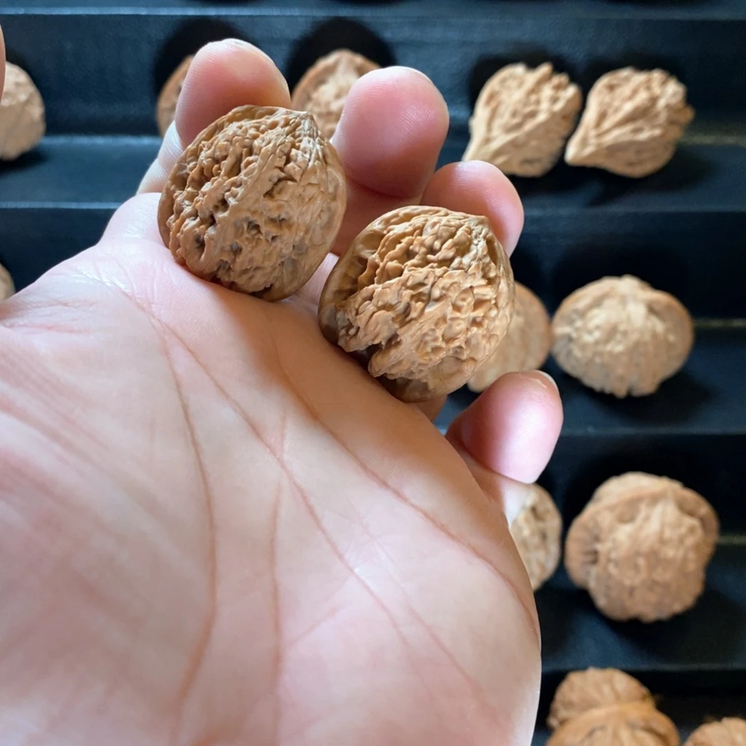 桃核把件1****7野生原树太行玄石28