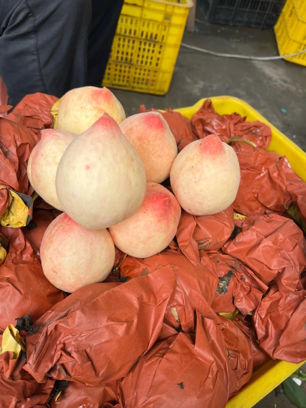 新鲜奶油桃大果甜蜜多汁应季水果软桃现摘现发