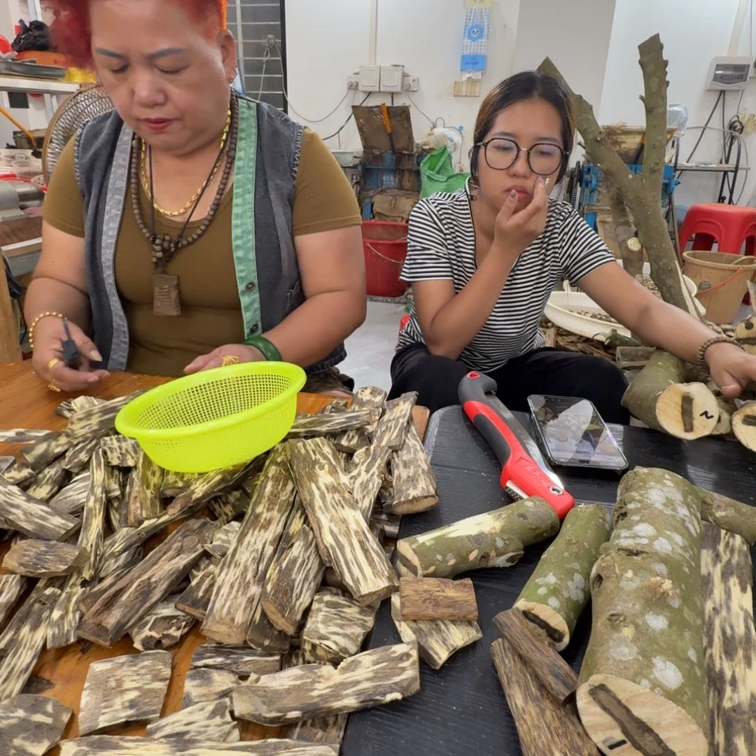 松***线香奇楠沉香原木