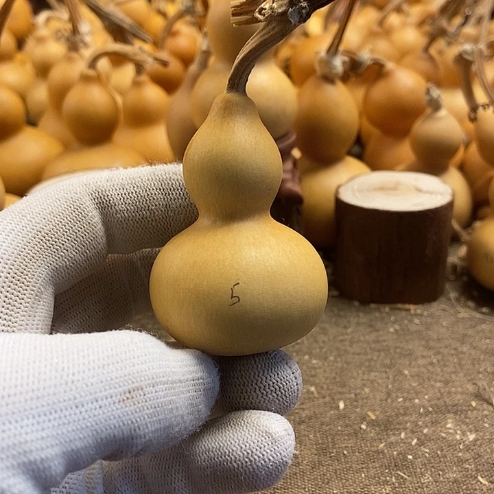 文玩葫芦 完美主义者 慎拍5