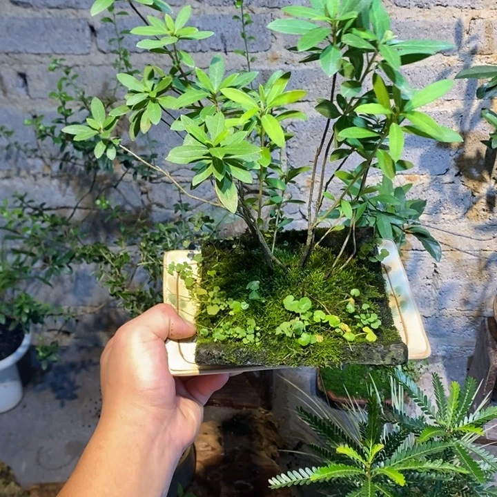 岳*退款拉黑一物一拍140