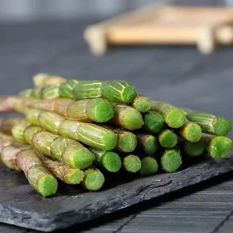 新鲜铁皮石角斗500g 人工采摘手工挑选