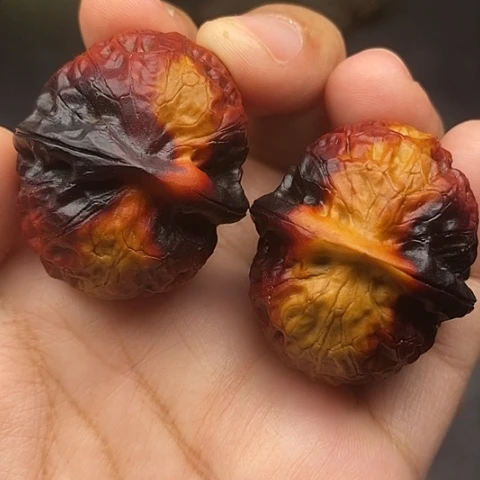 文玩核桃把件40尺金龟玉甲