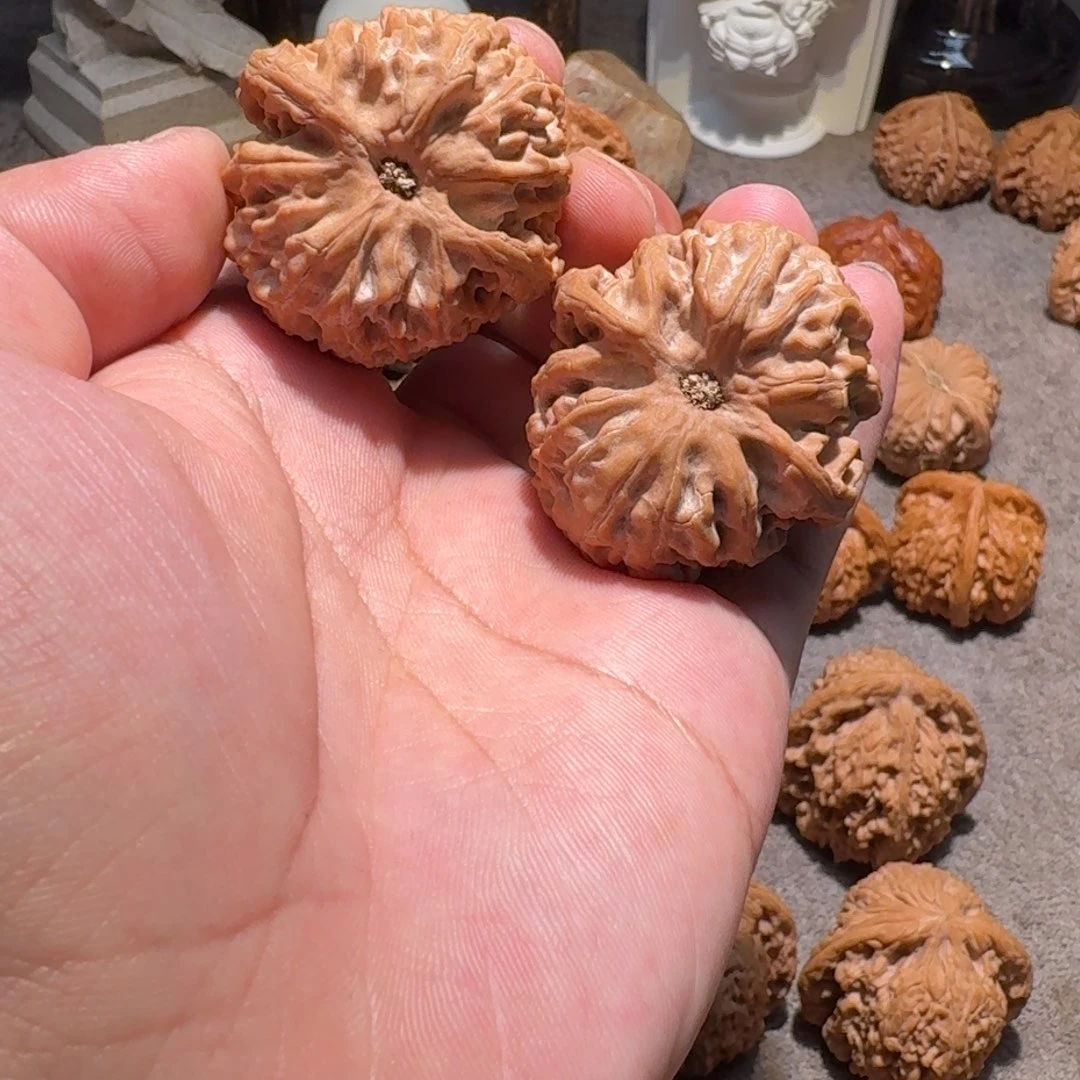 手串/手链核桃44全品苹果园