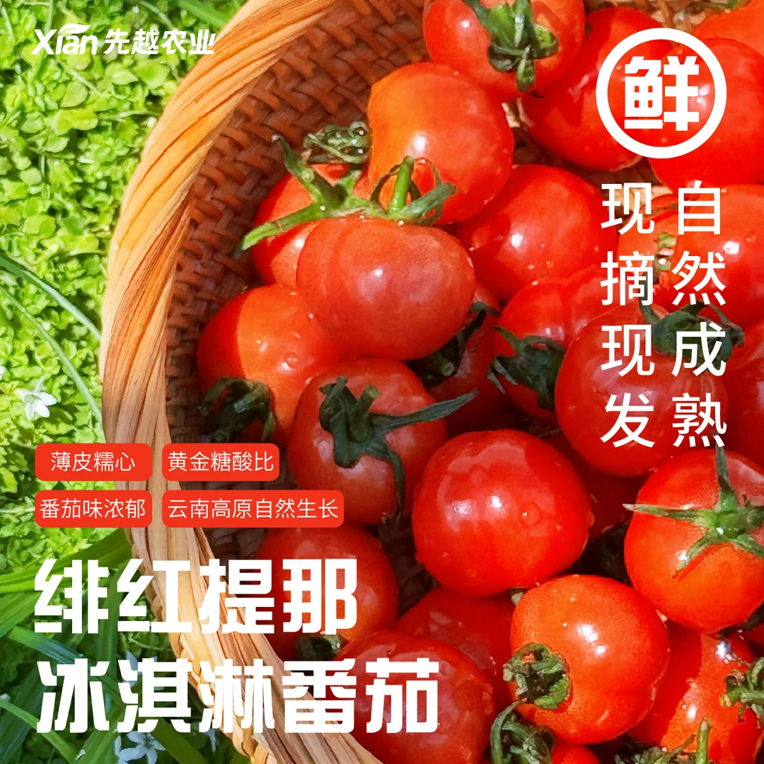 绯红提那冰淇淋皮薄糯心口口爆汁现摘现发云南冰淇淋小番茄圣女果